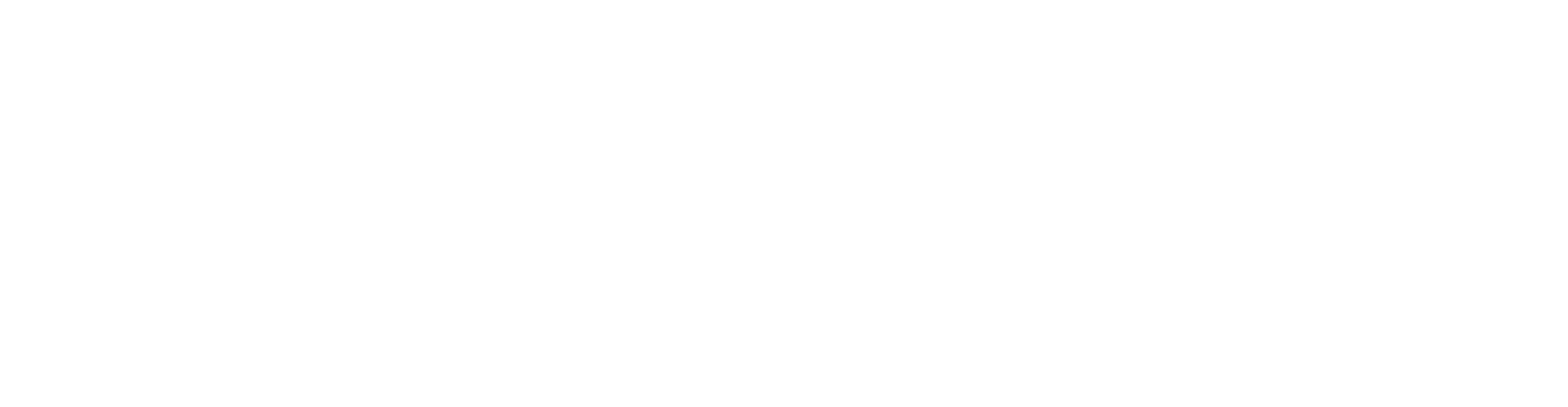 PUNTO VERDE